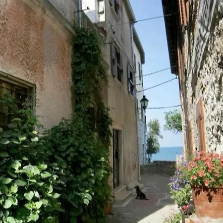 Apartment Martin - 10 Mt To The Beach Rovinj Exterior photo